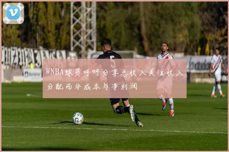 WNBA球员呼吁分享总收入关注收入分配而非成本与净利润