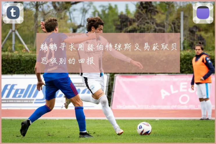 鹈鹕寻求用赫伯特琼斯交易获取贝恩级别的回报