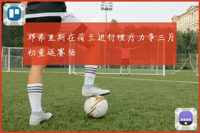 邓弗里斯在荷兰进行理疗力争三月初重返赛场